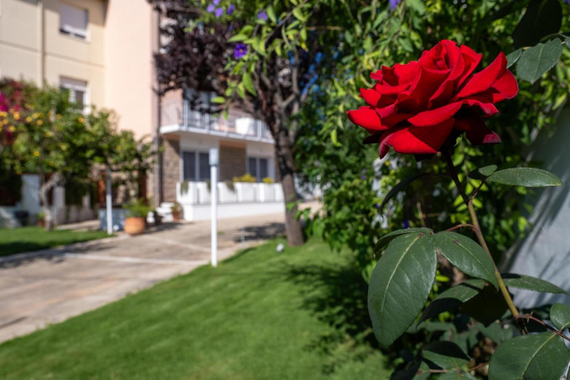 Nautika Suites Альгеро Экстерьер фото